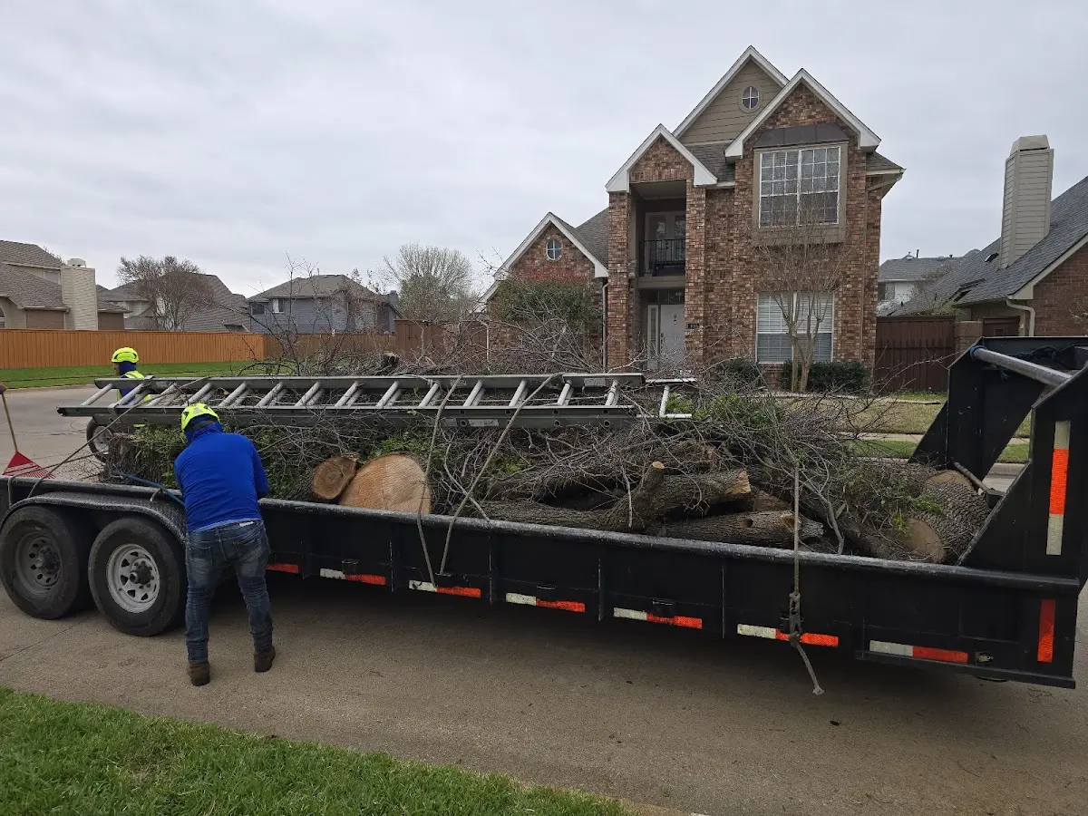 Expert Tree Fertilization with proper safety equipment in Allakaket
